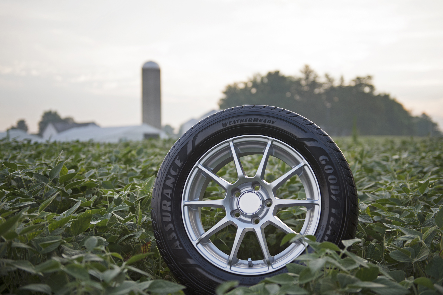 Goodyear pledges to boost soybean oil in tire lineup | Successful Farming