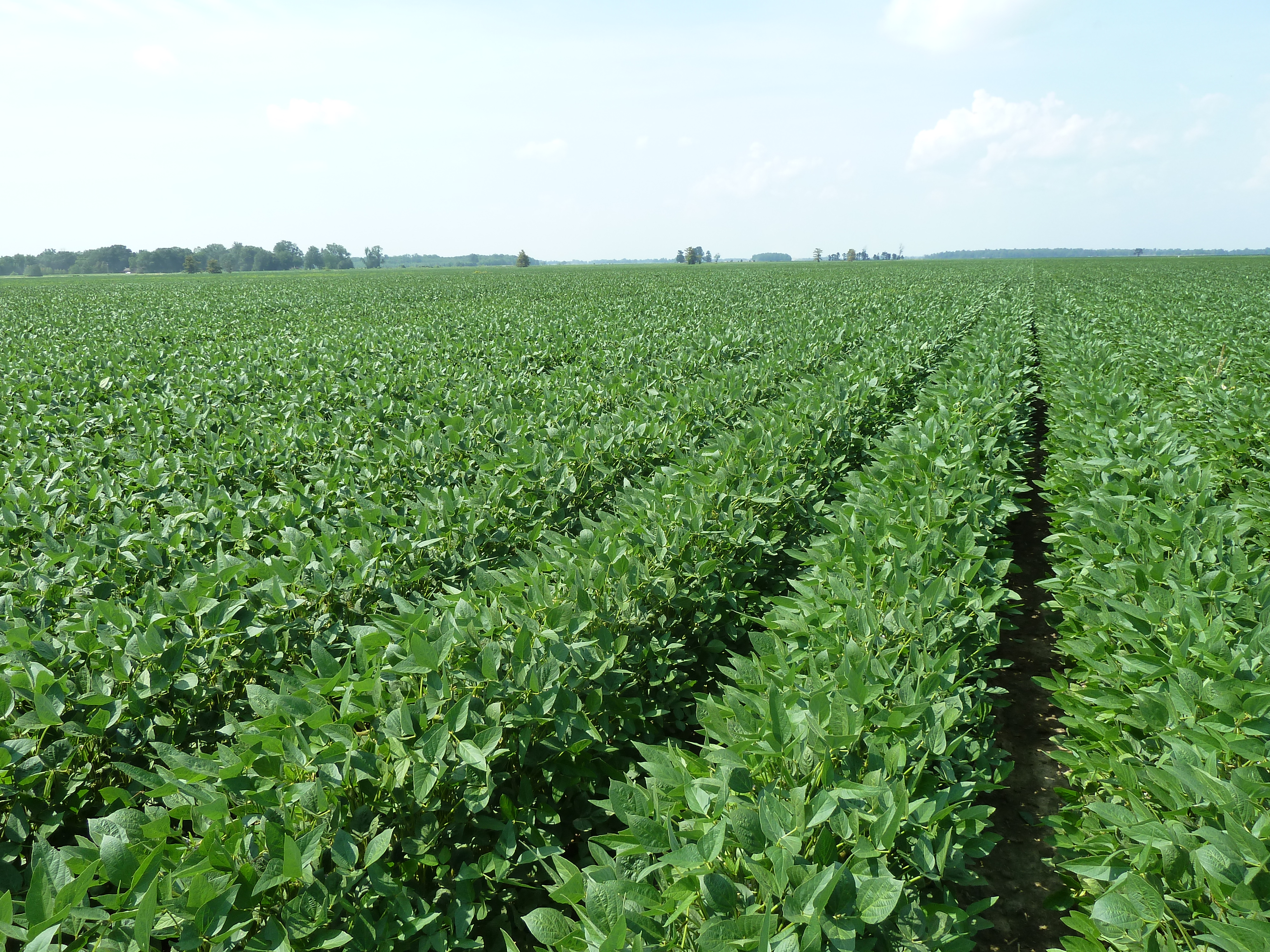 how to manage your 2021 farmland rent agreement successful farming