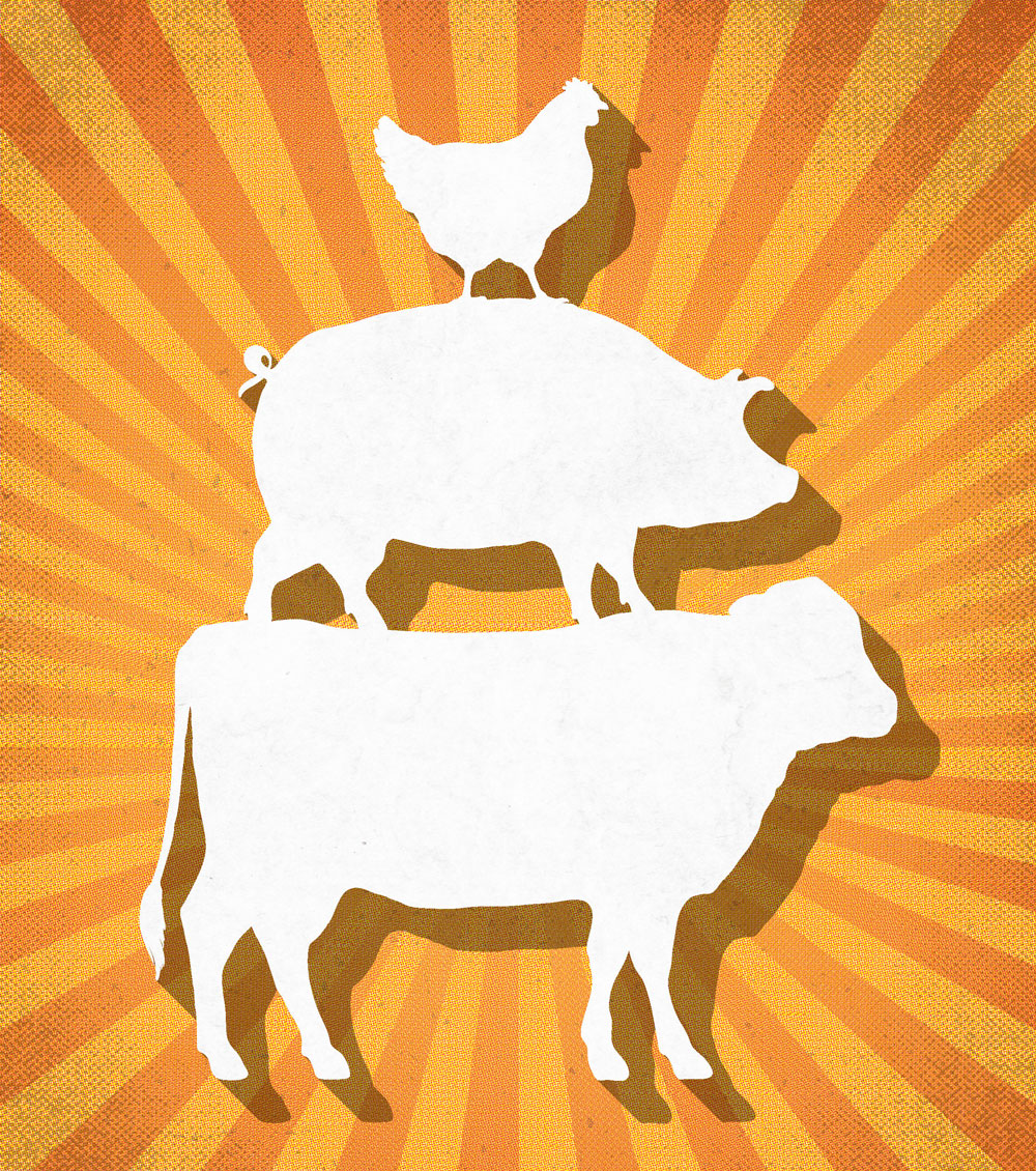 8 Reasons Why The Livestock Industry Is On A Roll Successful Farming