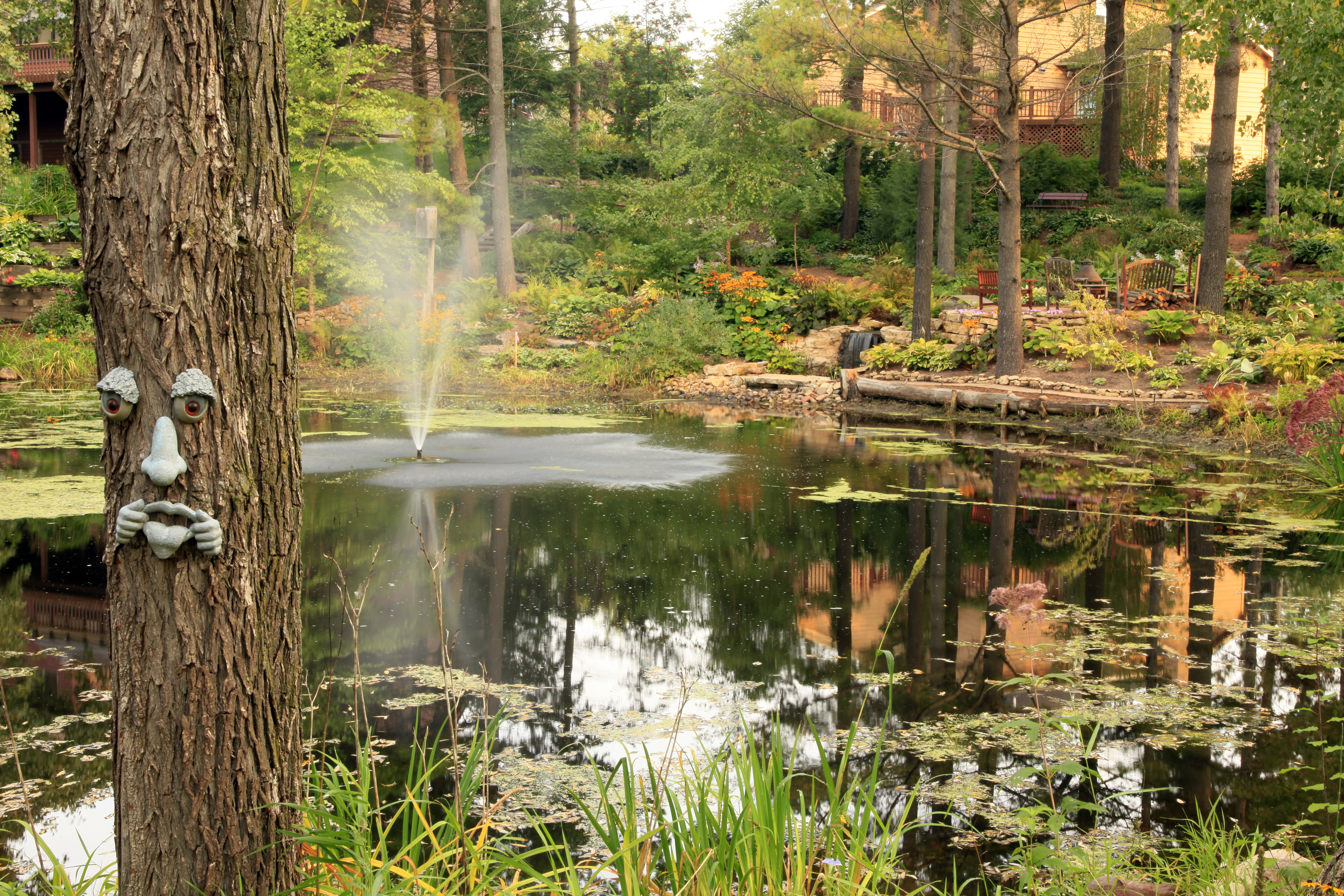 Building A Pond In The Woods Successful Farming
