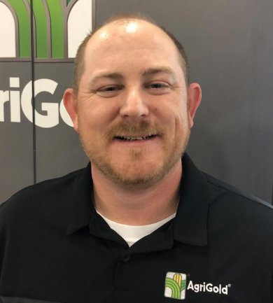 डस्टिन-बॉलिंग डस्टिन बॉलिंग