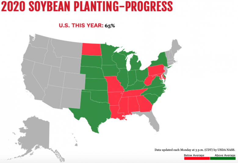 Soybeans52620 Soybeans52620