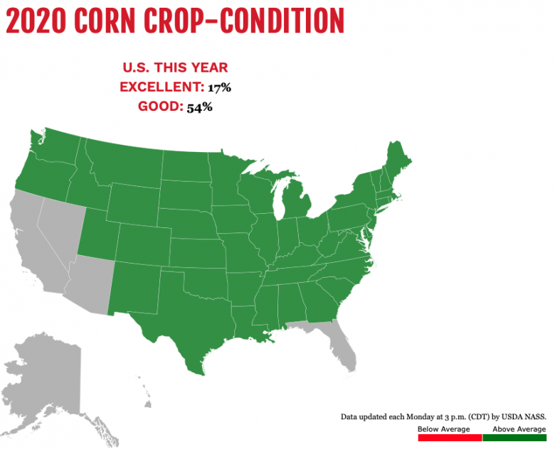 Corn progress Corn762020