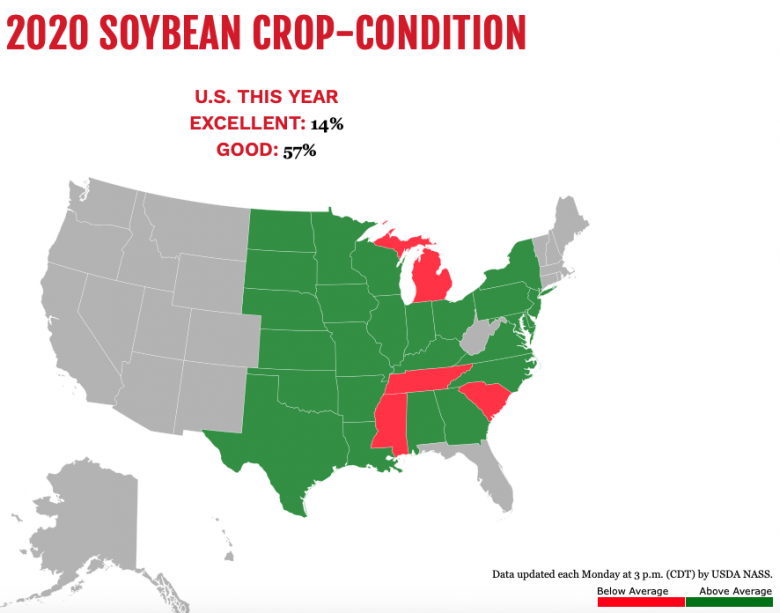 Soybean progress Soybean762020