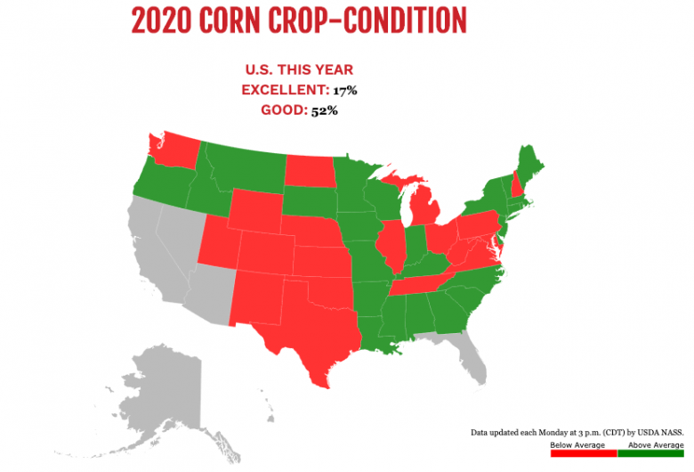 Corn 7.20.20 Map of corn condition as of 7/20/20