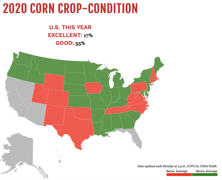 Corn83 Corn83