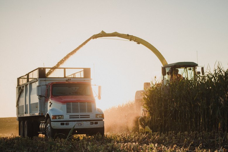 हन्ना-बोर्ग-सिलेज-काट नेब्रास्का के खेत पर चुप्पी साधना