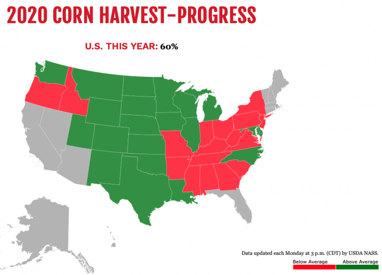 Corn1019 Corn1019