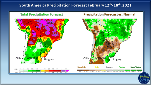 wt36021521 wt36021521