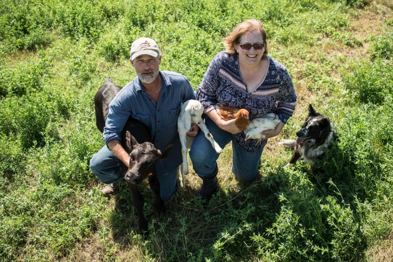 Englands-pasture pasture livestock