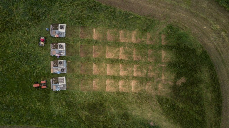 chickens-pasture-pens chickens-pasture-pens