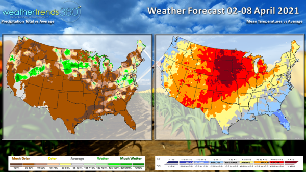 wt4521photo wt4521photo