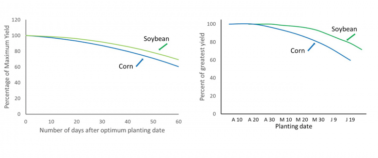 Missouri corn vs. soybeans Missouri corn vs. soybean comparison