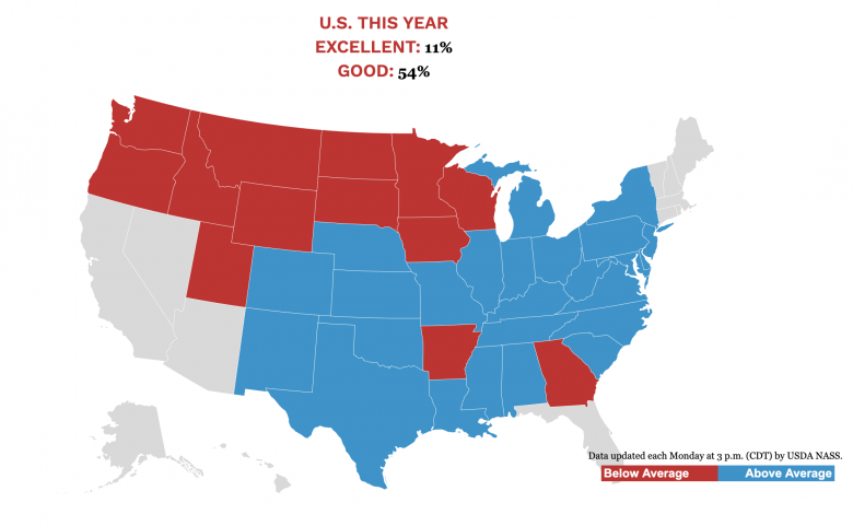 62121-corn-condition-map Map of US corn condition