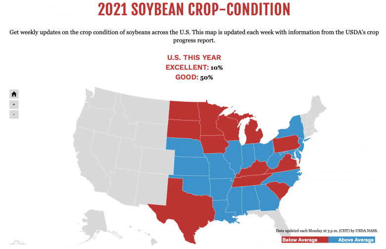 Soybean628 Soybean628