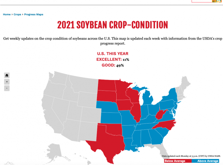 Soybean71921 Soybean
