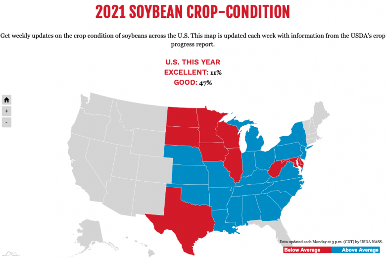 Soybean726 Soybean crop