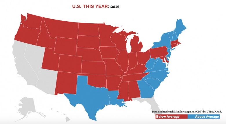 Mapa de progresso da safra do USDA milho 5.9.22 Mapa de progresso da safra do USDA milho 5.9.22