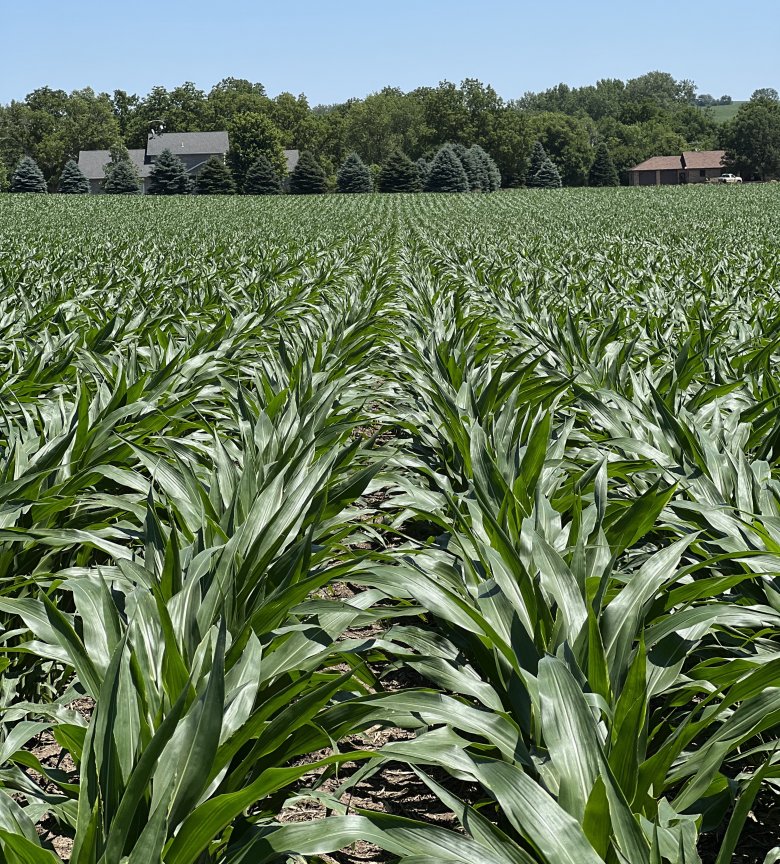 'Milliondollar rain' brings relief to Iowa, Arkansas, and North