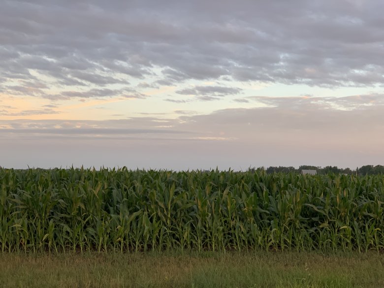 Detailed dive into Iowa drought and crop conditions | Successful Farming