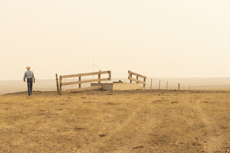 Diversifying livestock and business on a South Dakota ranch ...