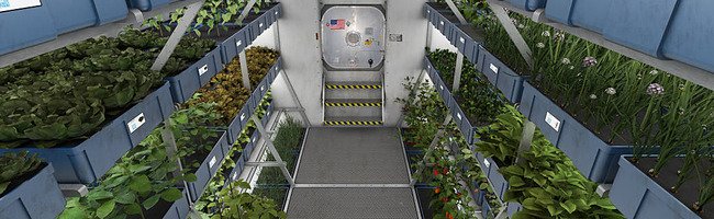 space-farming-3 space-farming-3