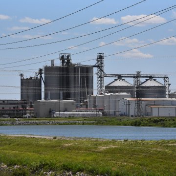 https://static.agriculture.com/styles/node_article_image_full_large/s3/s3fs-public/image/2019/08/16/48040581316_b1757bdd34_k.jpg?timestamp=1565972395 https://static.agriculture.com/styles/node_article_image_full_large/s3/s3fs-public/image/2019/08/16/48040581316_b1757bdd34_k.jpg?timestamp=1565972395