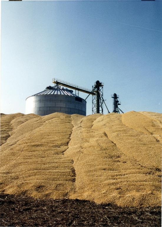 Storage solutions Successful Farming