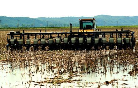 Not time for planting panic, specialists say