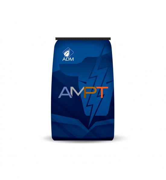 New Cattle Mineral Gives Cows Immune Support Successful Farming