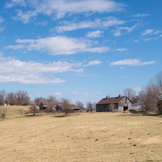 How to Kill Rural Arkansas Successful Farming