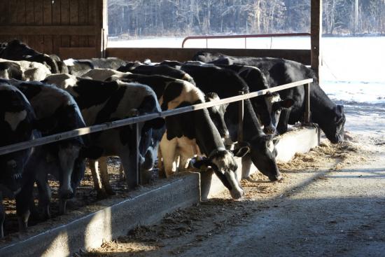 The American Farm Tv Series To Tell Great Untold Story Of Farmers Successful Farming The american farm premiers on the history channel at. the american farm tv series to tell