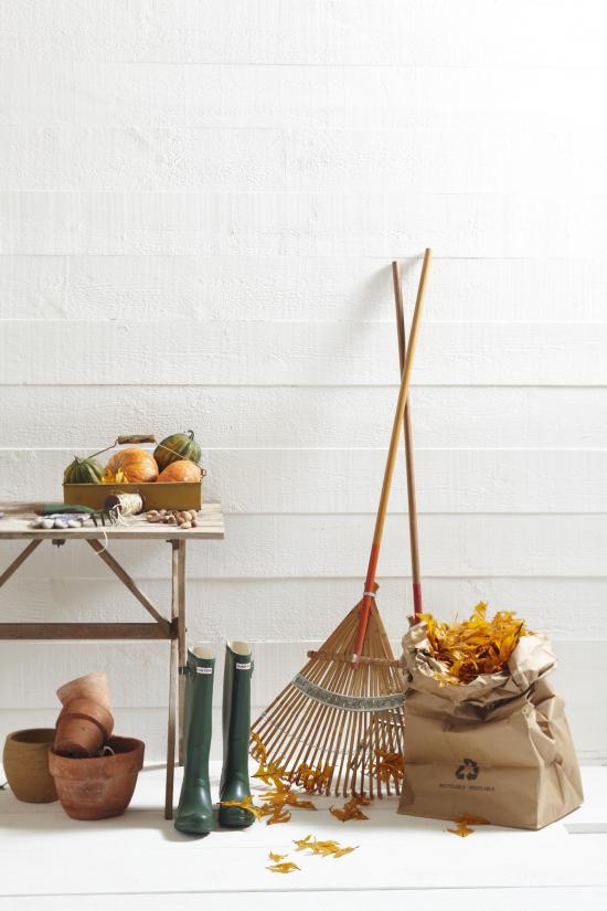 Preserving Wooden Tool Handles Successful Farming